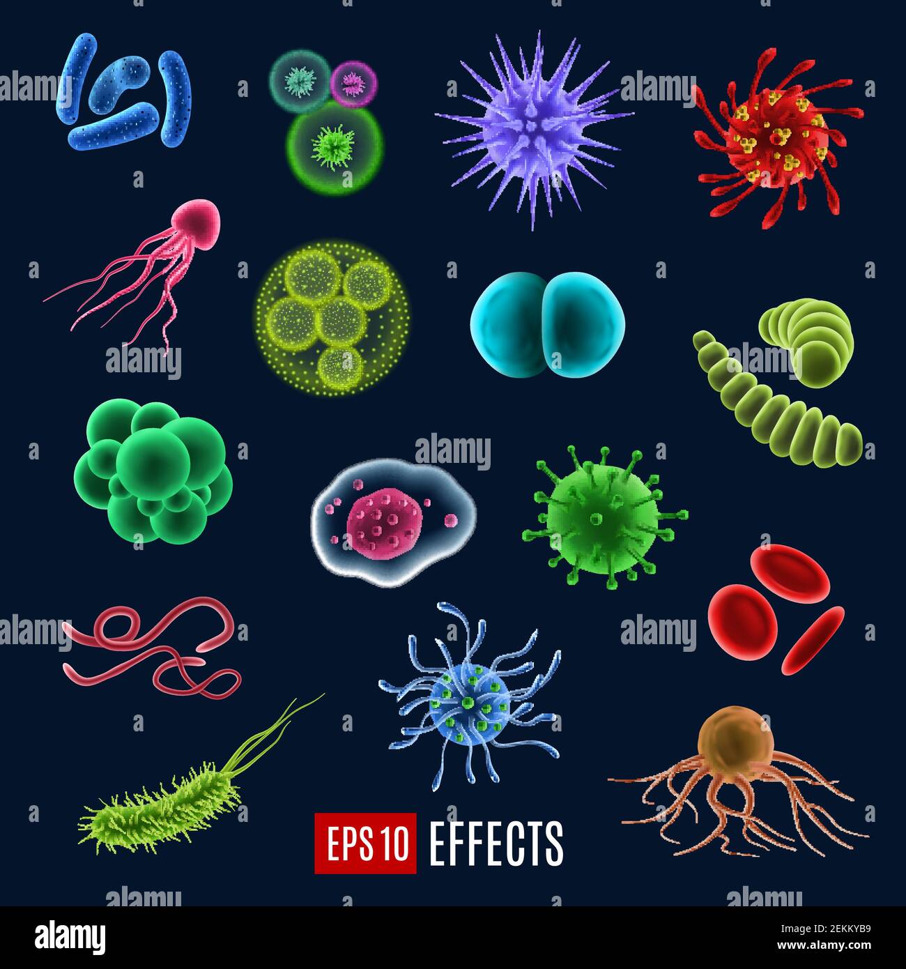 Virus, germi e batteri, tipi di microrganismi, effetto incandescente.  Malattie vettoriali o malattie cellule microscopiche e infezioni, microbi e  anticorpi Immagine e Vettoriale - Alamy