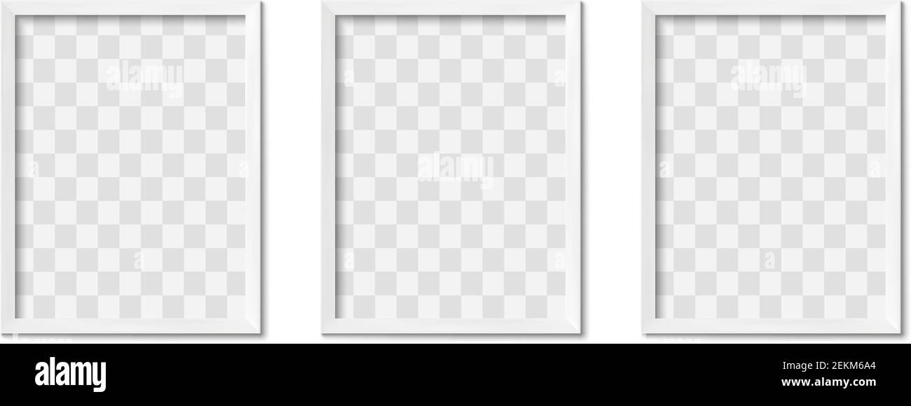 Cornici fotografiche bianche. Immagine vuota grigio semplice bordo quadrato con ombra sulla parete della galleria. Struttura di inquadratura isolata vettoriale mockup 3D realistico Illustrazione Vettoriale
