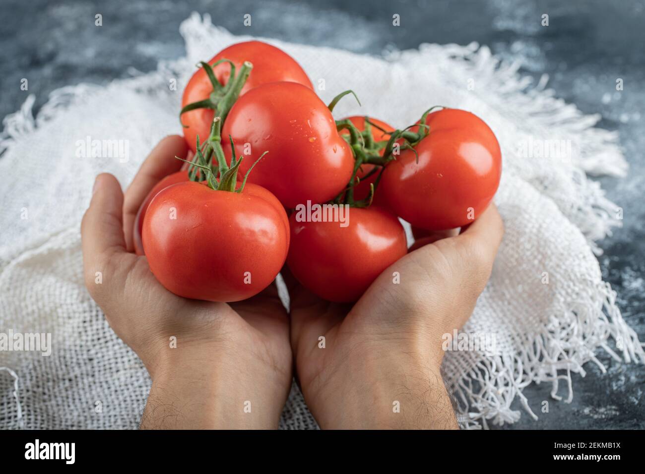 Mani dell'uomo che tengono un mazzo di pomodoro su un colorato sfondo Foto Stock