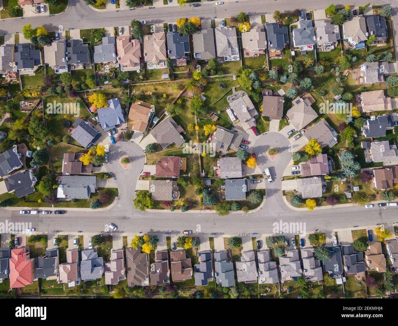 Vista aerea dall'alto verso il basso delle case nel bellissimo quartiere residenziale durante la stagione autunnale a Calgary, Alberta, Canada. Foto Stock