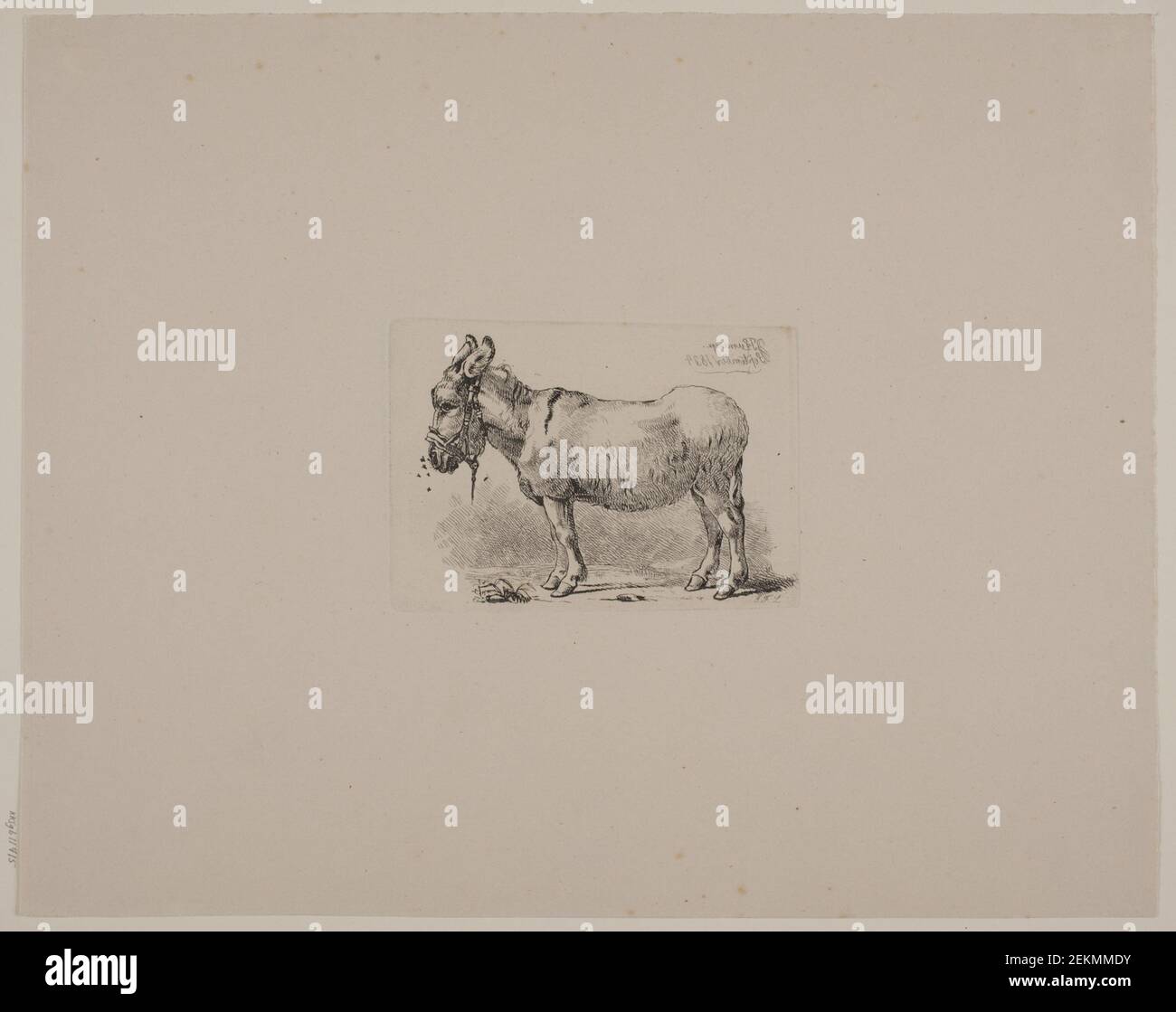 Johan Thomas Lundbye (1818-1848), un Aesel, afflitto da mosche, 1834 Foto Stock