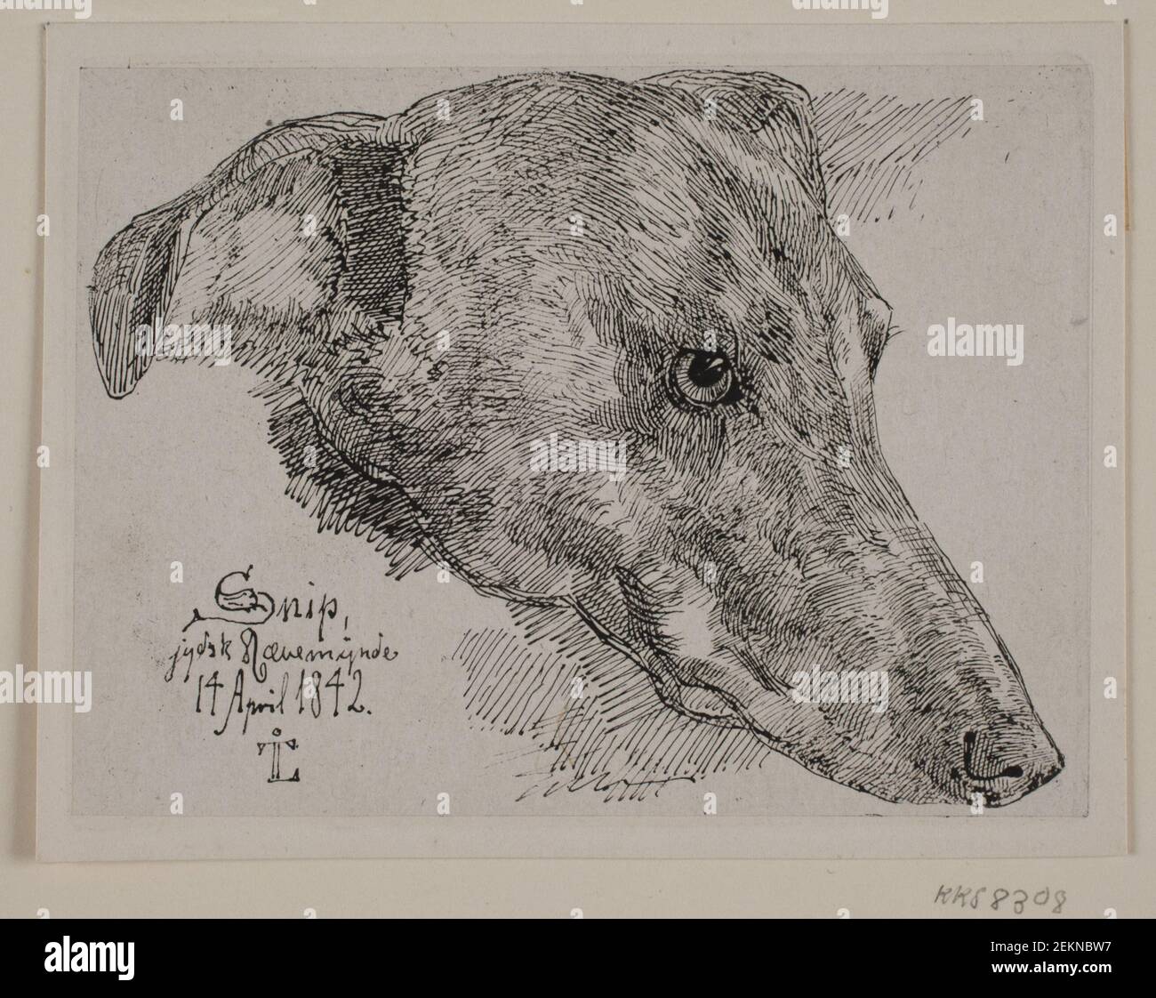 Johan Thomas Lundbye (1818-1848); , testa di cane, snip, 1842 Foto Stock