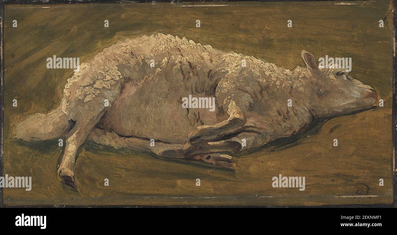 Carlo Dalgas (1821-1851), studio di una pecora menzogna, 1846 Foto Stock