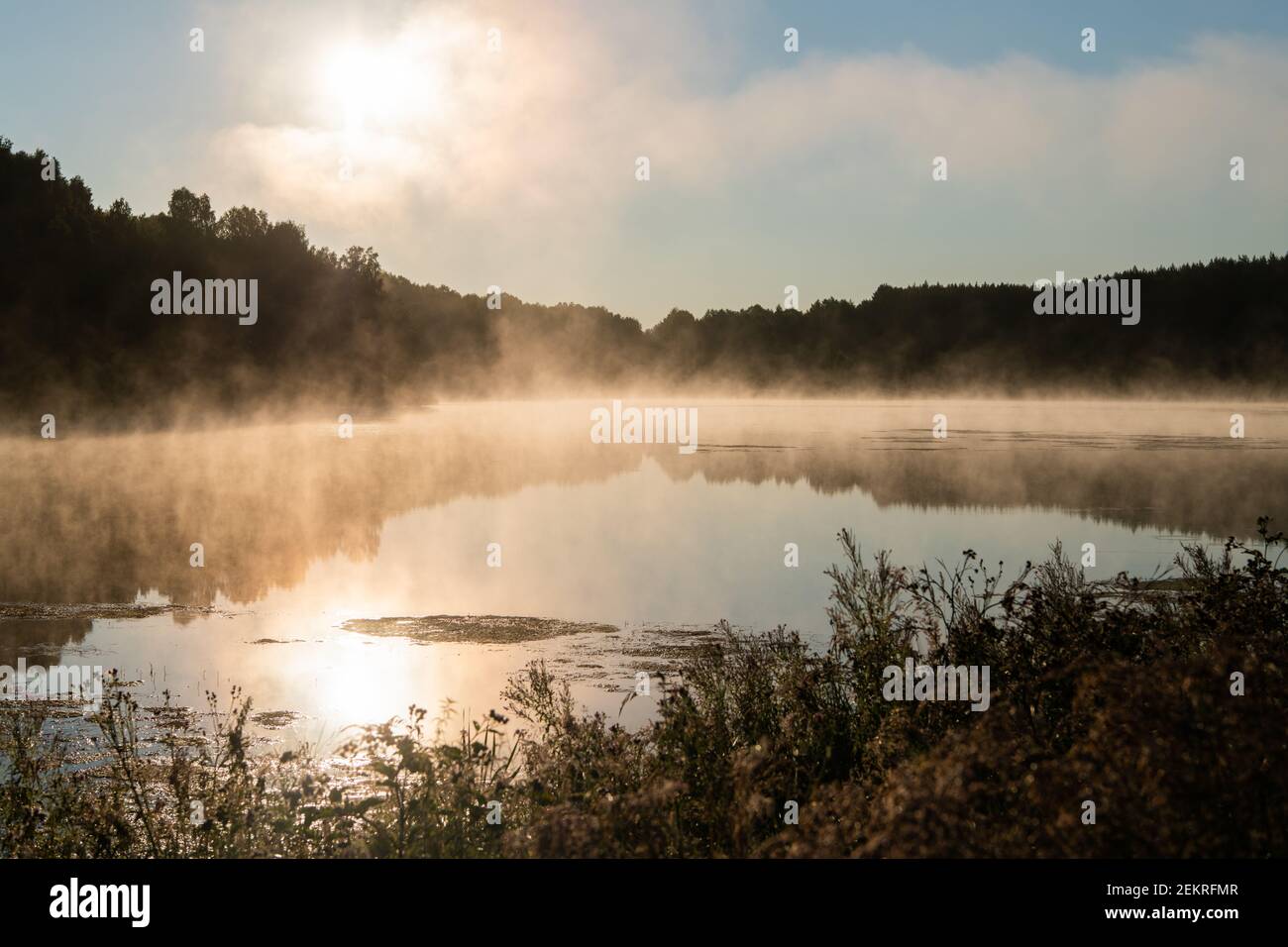 Alba e nebbia su un bellissimo lago al mattino presto. Foto Stock
