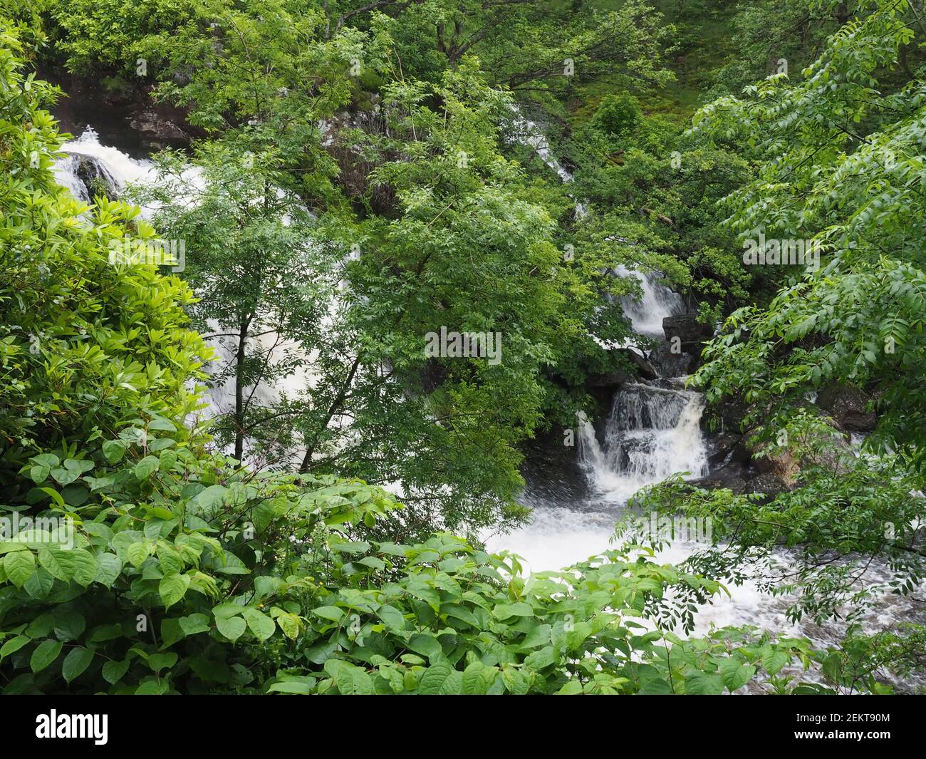 Cascate di Arklet a Loch Lomond in Scozia Foto Stock Cascate di Arklet a Loch Lomond in Scozia Foto Stock