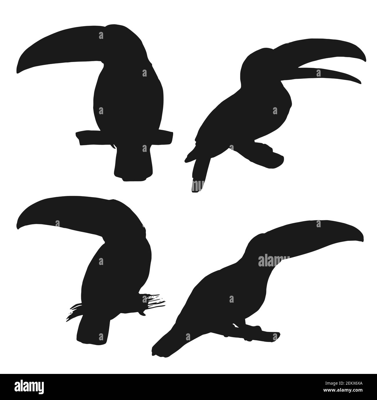 Silhouette nere Toucan con uccelli vettoriali di giungla tropicale e foresta pluviale brasiliana o amazzonica. Animali selvatici sudamericani seduti su albero branc Illustrazione Vettoriale
