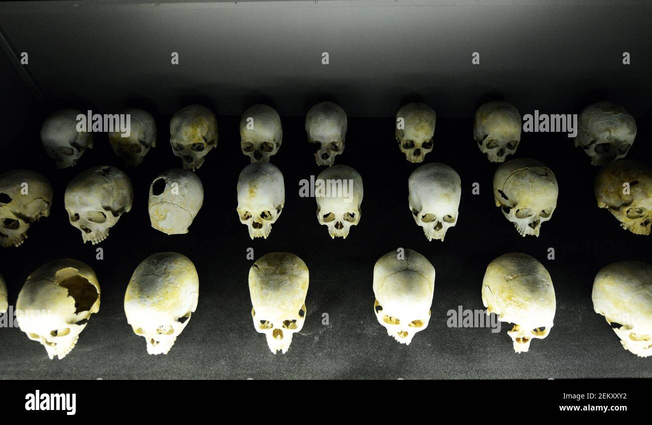 Scafi delle vittime del genocidio ruandese del 1994 in mostra presso il Kigali Genocide Memorial Center di Kigali, Ruanda Foto Stock