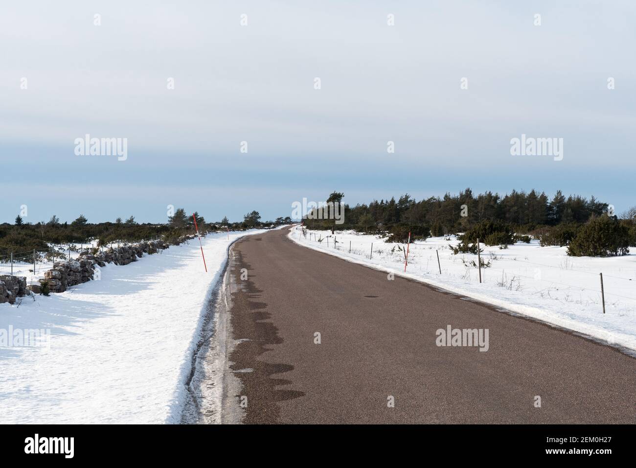 Tortuosa strada di campagna con pali di neve a bordo strada nel Grande pianura di Alvar sull'isola Oland in Svezia Foto Stock