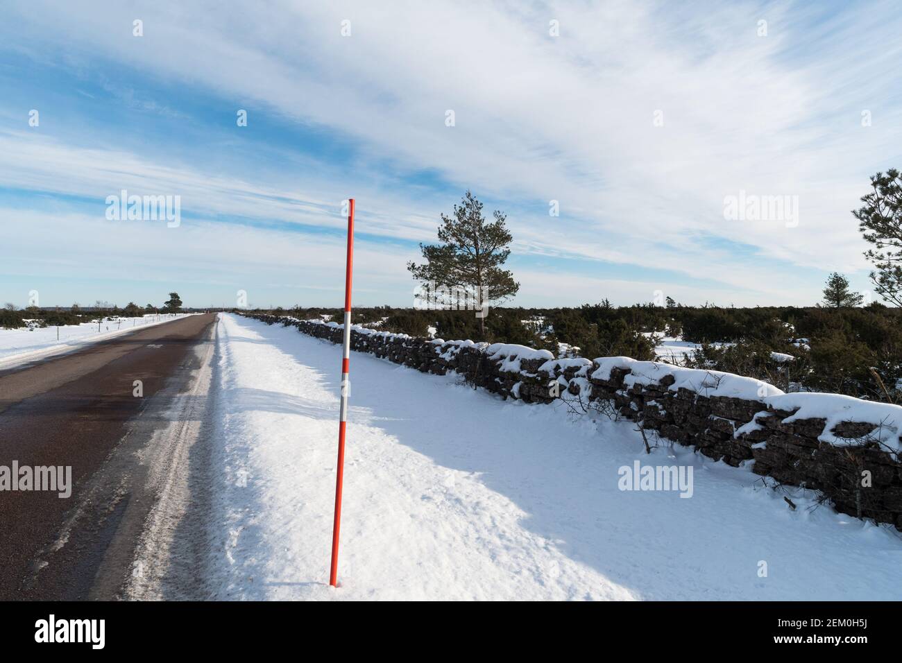 Strada di campagna diritta con un picchetto di neve da bordo strada dentro un grande paesaggio pianeggiante Foto Stock