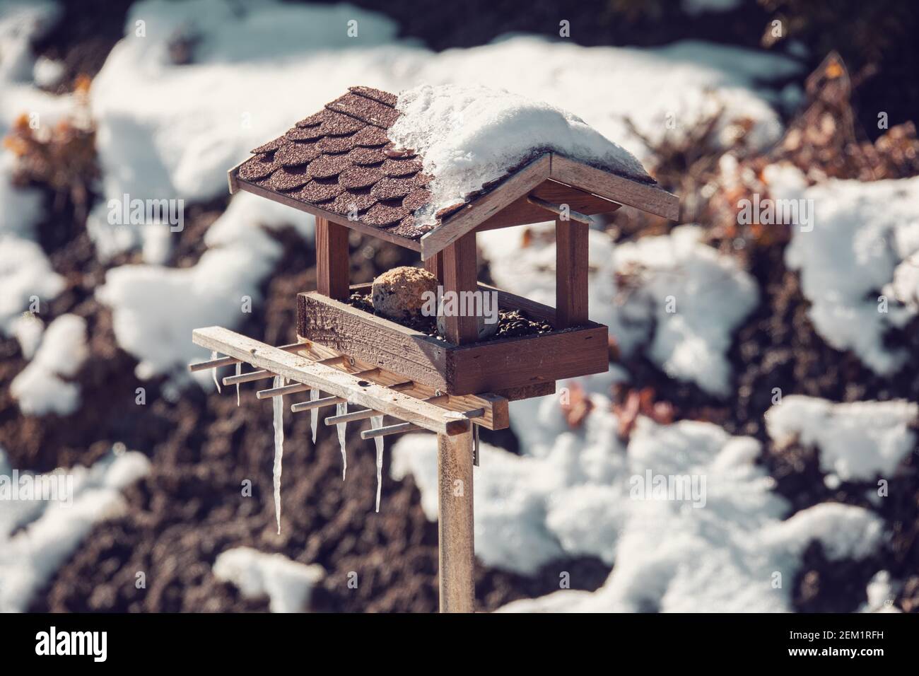 Legno artigianale birdhouse, bird feeder installato sul giardino d'inverno Foto Stock