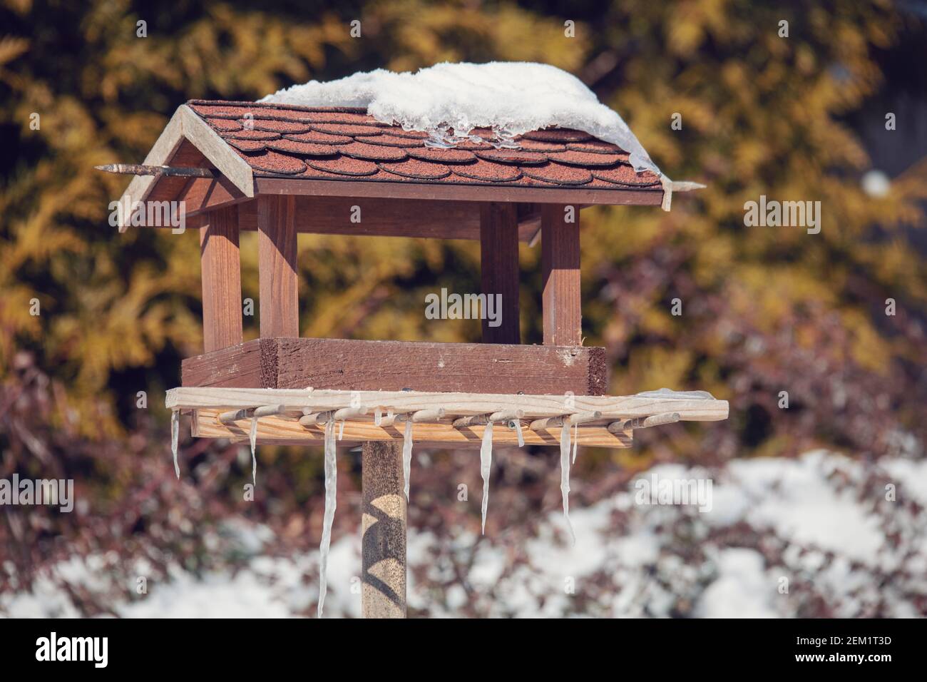 Legno artigianale birdhouse, bird feeder installato sul giardino d'inverno Foto Stock