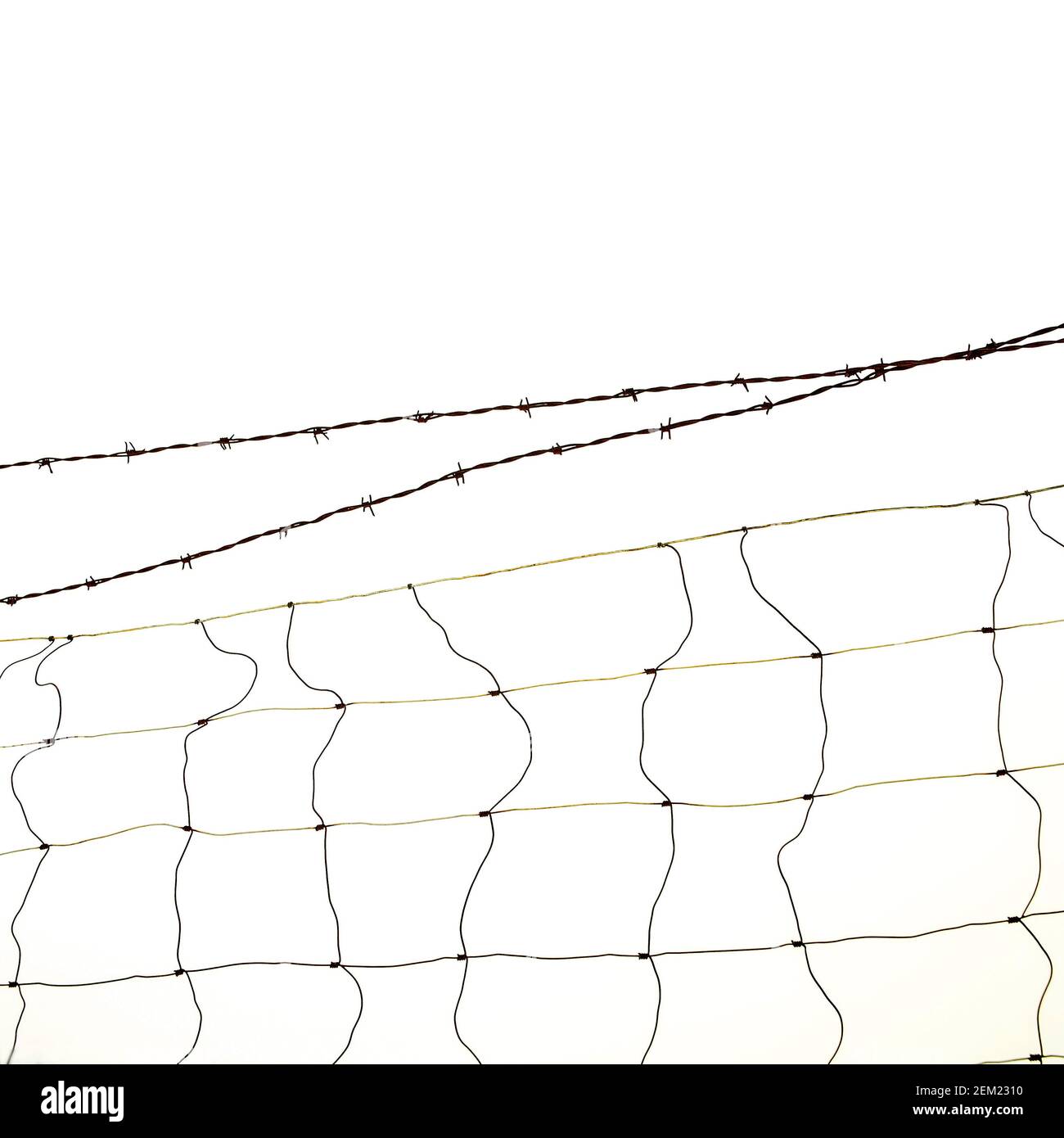 La recinzione a filo spinato si estende attraverso un cielo luminoso in un'area remota, creando un contrasto sorprendente durante le ore diurne Foto Stock