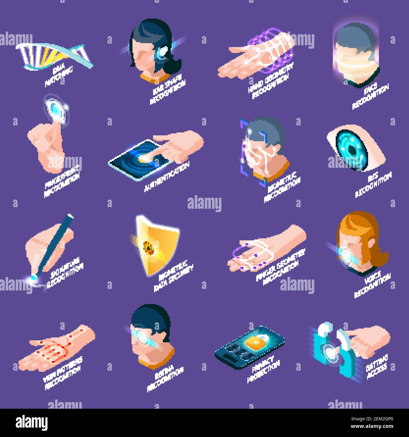 Autenticazione biometrica icone isometriche con corrispondenza del dna, riconoscimento delle parti del corpo umano isolato su sfondo viola illustrazione vettoriale Illustrazione Vettoriale