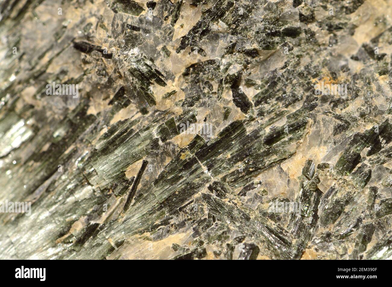 Actinolite [idrossido di silicato di calcio] minerale di silicato di anfibolo Foto Stock