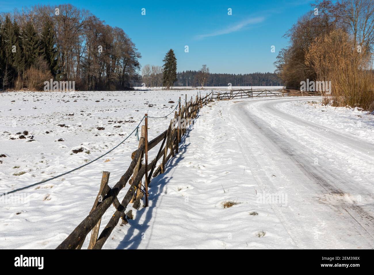 Il Rossmoos, una bassa brughiera nei pressi di Inchenhofen, Baviera, in inverno Foto Stock