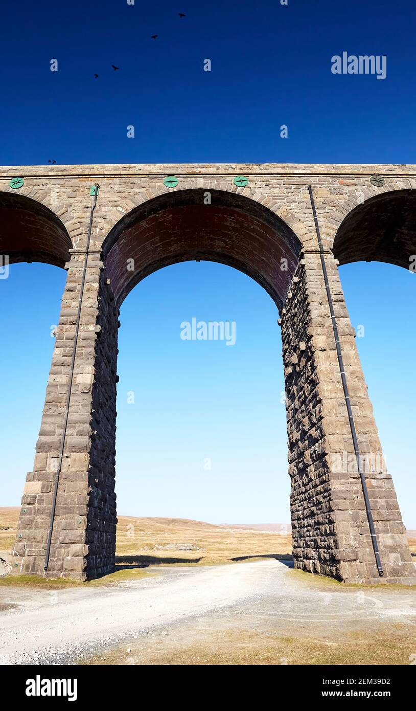 Viadotto a testa di nastro singolo arco in ritratto. Foto Stock