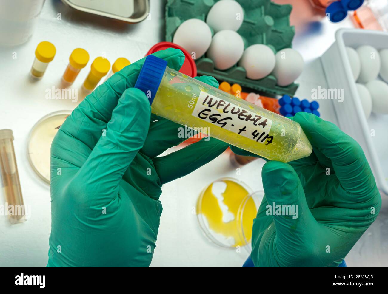 Campionamento scientifico di uova in cattive condizioni, analisi dell'influenza aviaria nell'uomo, immagine concettuale Foto Stock