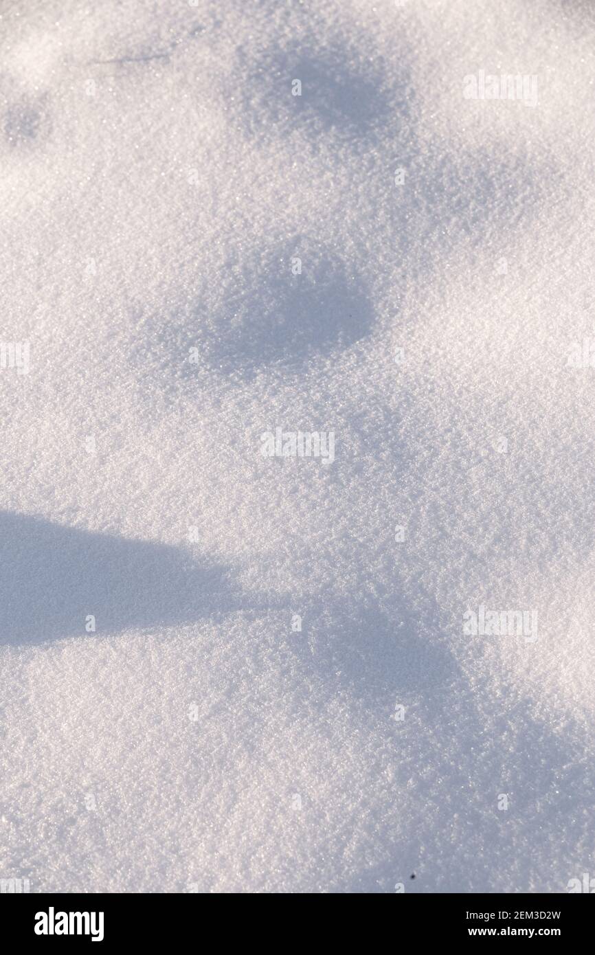 Sfondo bianco con neve fresca e ombre Foto Stock