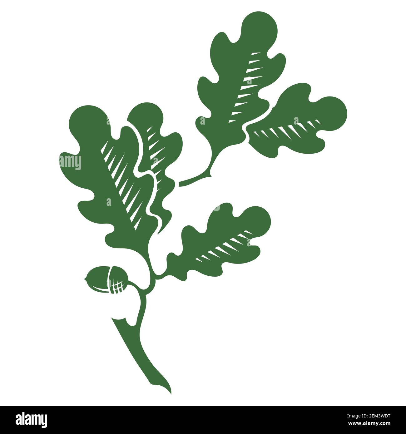 Foglia di quercia e disegno di ghianda. Corona di foglie di quercia Illustrazione Vettoriale