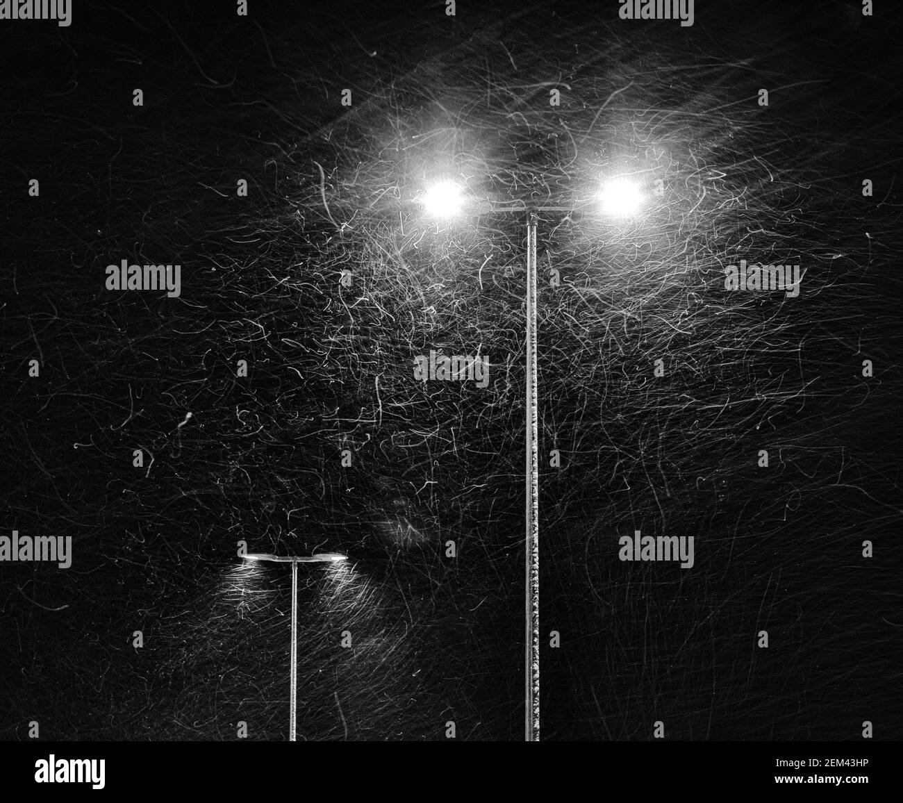 La neve cade di notte sullo sfondo di una lampada da strada che brucia. Foto Stock