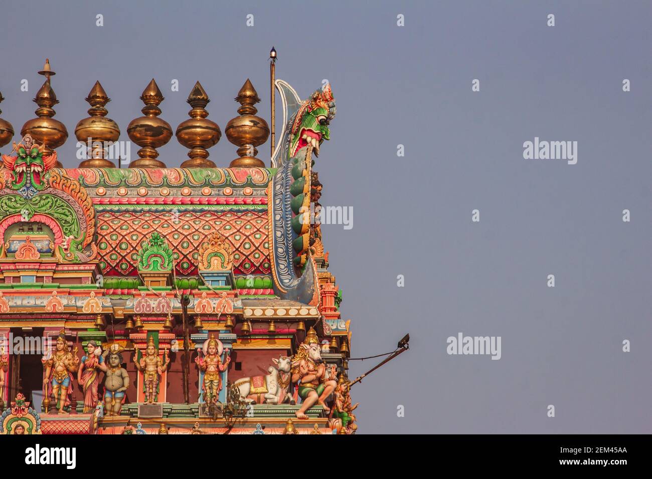 Bella vista del gopuram (torre) del Tempio Kapaleeshwarar, Mylapore, Chennai, India Foto Stock