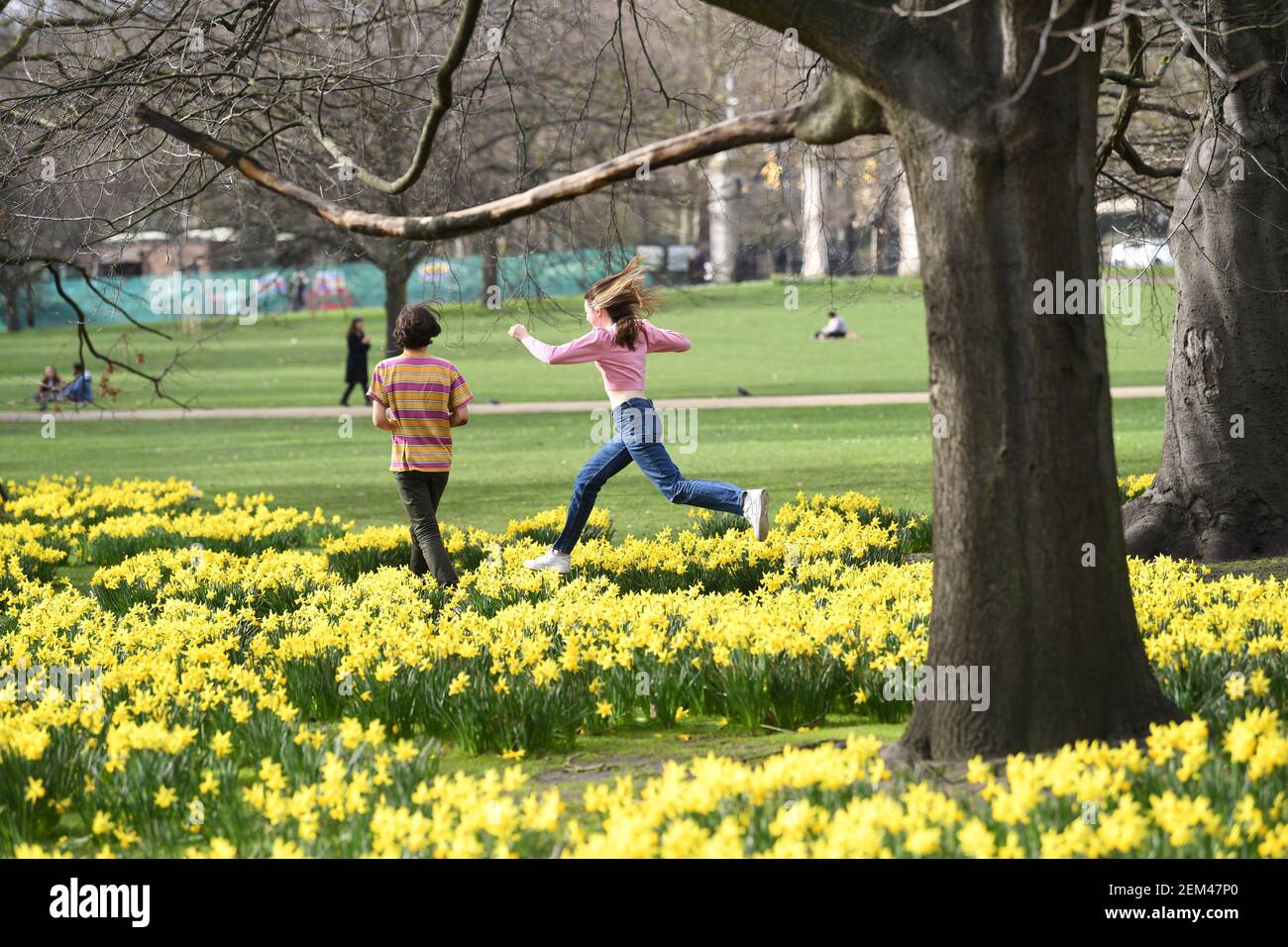 Una coppia tra le narcisi del St James's Park, Londra, con previsioni che prevedono 'i primi segni della primavera' si sentiranno in gran parte del Regno Unito nei prossimi giorni. Data immagine: Mercoledì 24 febbraio 2021. Foto Stock