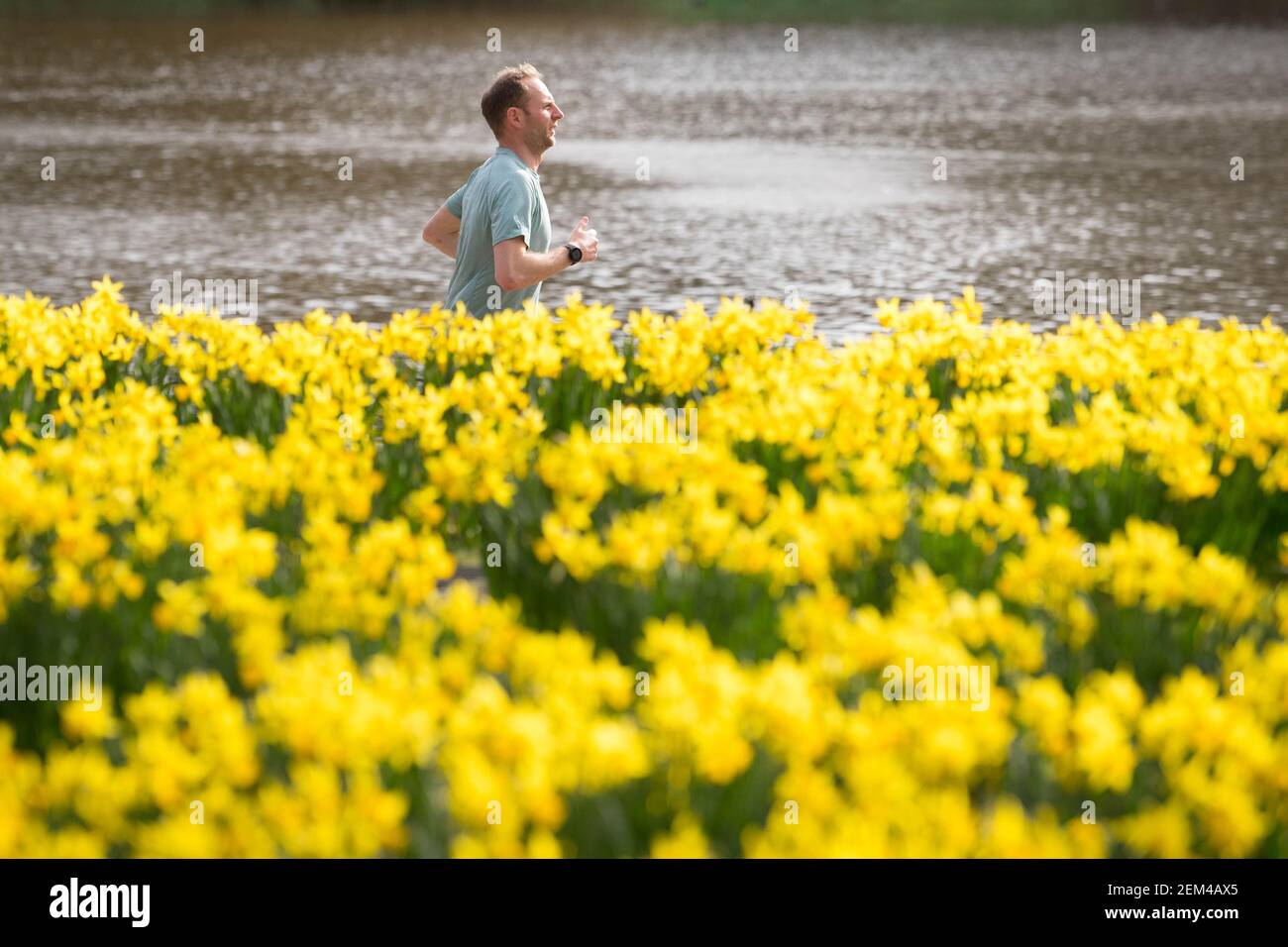 Un corridore a St James's Park, Londra, con previsioni che prevedono 'i primi segni della primavera' sarà sentito in gran parte del Regno Unito nei prossimi giorni. Data immagine: Mercoledì 24 febbraio 2021. Foto Stock