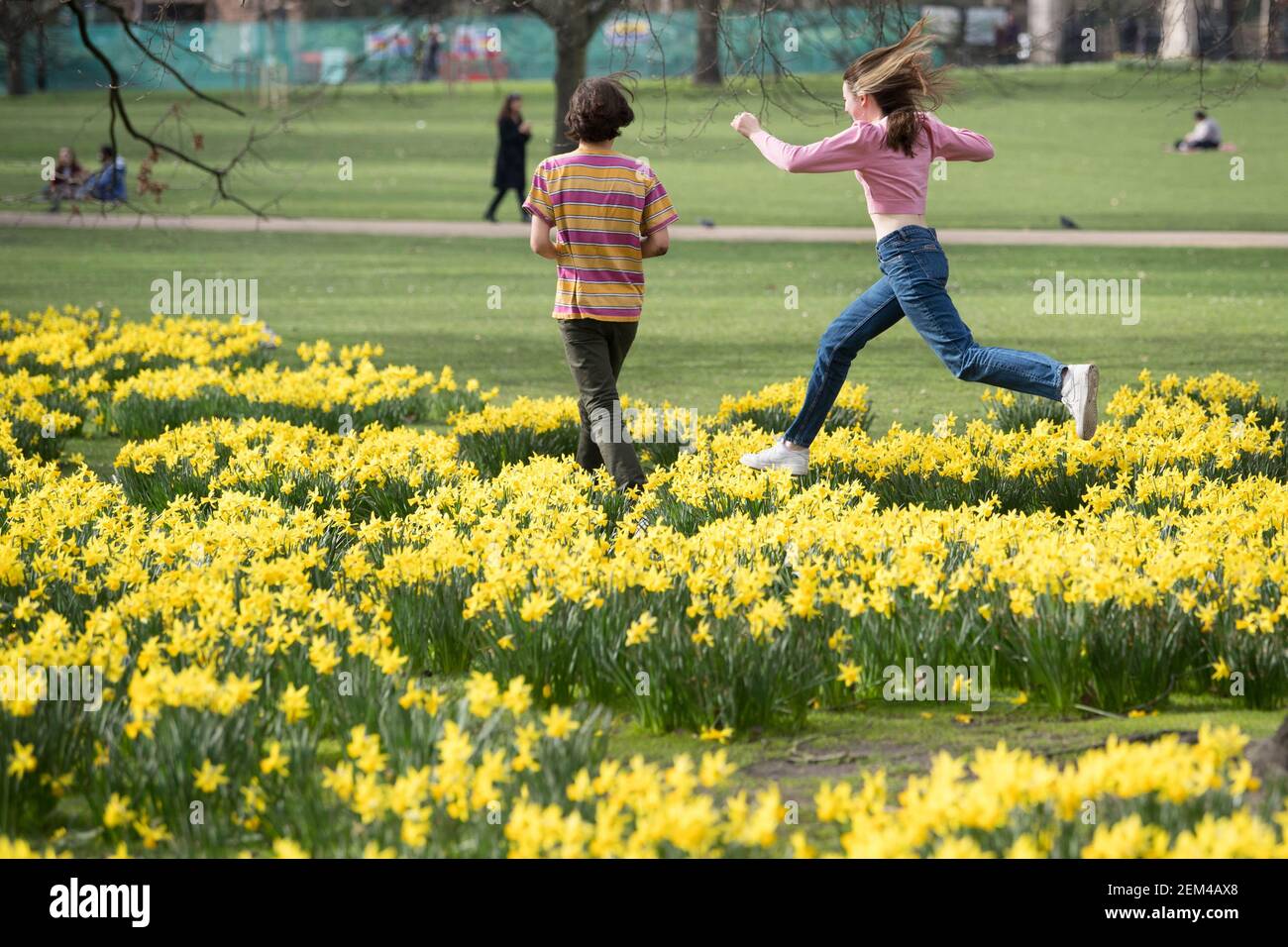 Una coppia tra le narcisi del St James's Park, Londra, con previsioni che prevedono 'i primi segni della primavera' si sentiranno in gran parte del Regno Unito nei prossimi giorni. Data immagine: Mercoledì 24 febbraio 2021. Foto Stock