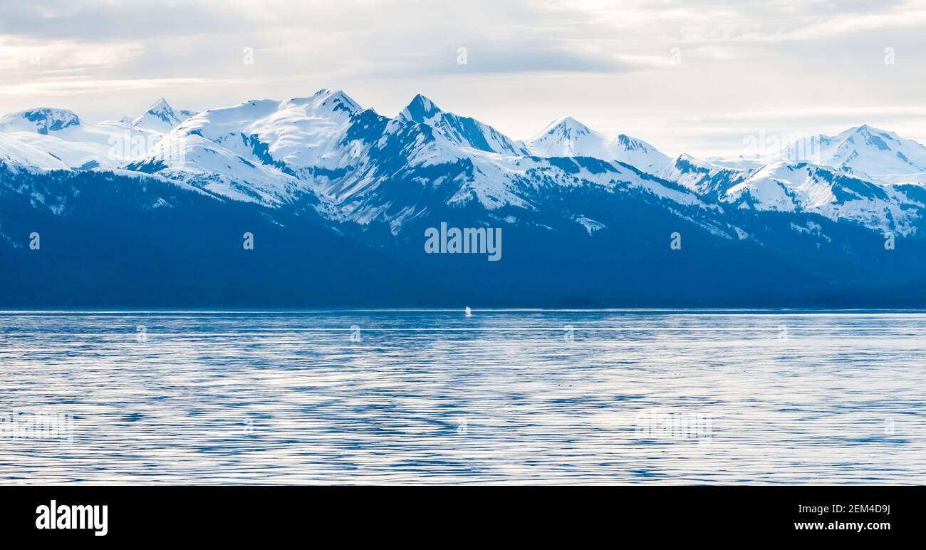 Montagne innevate lungo la costa dell'Alaska con il colpo Da una balena Humpback superficie visibile in lontananza Foto Stock