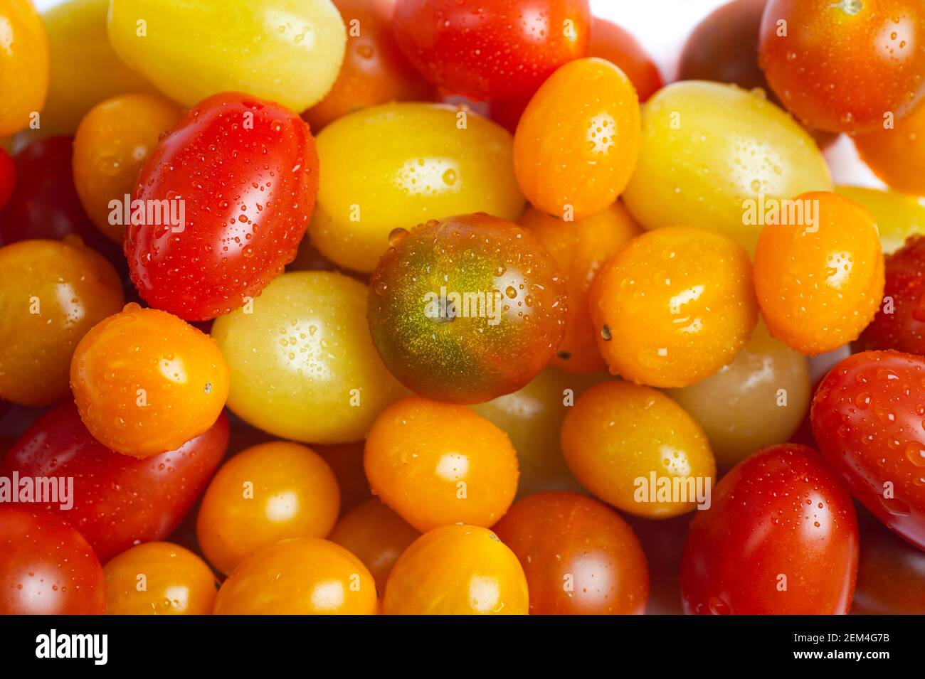 Pomodori selvatici biologici freschi varietà full frame primo piano Foto Stock