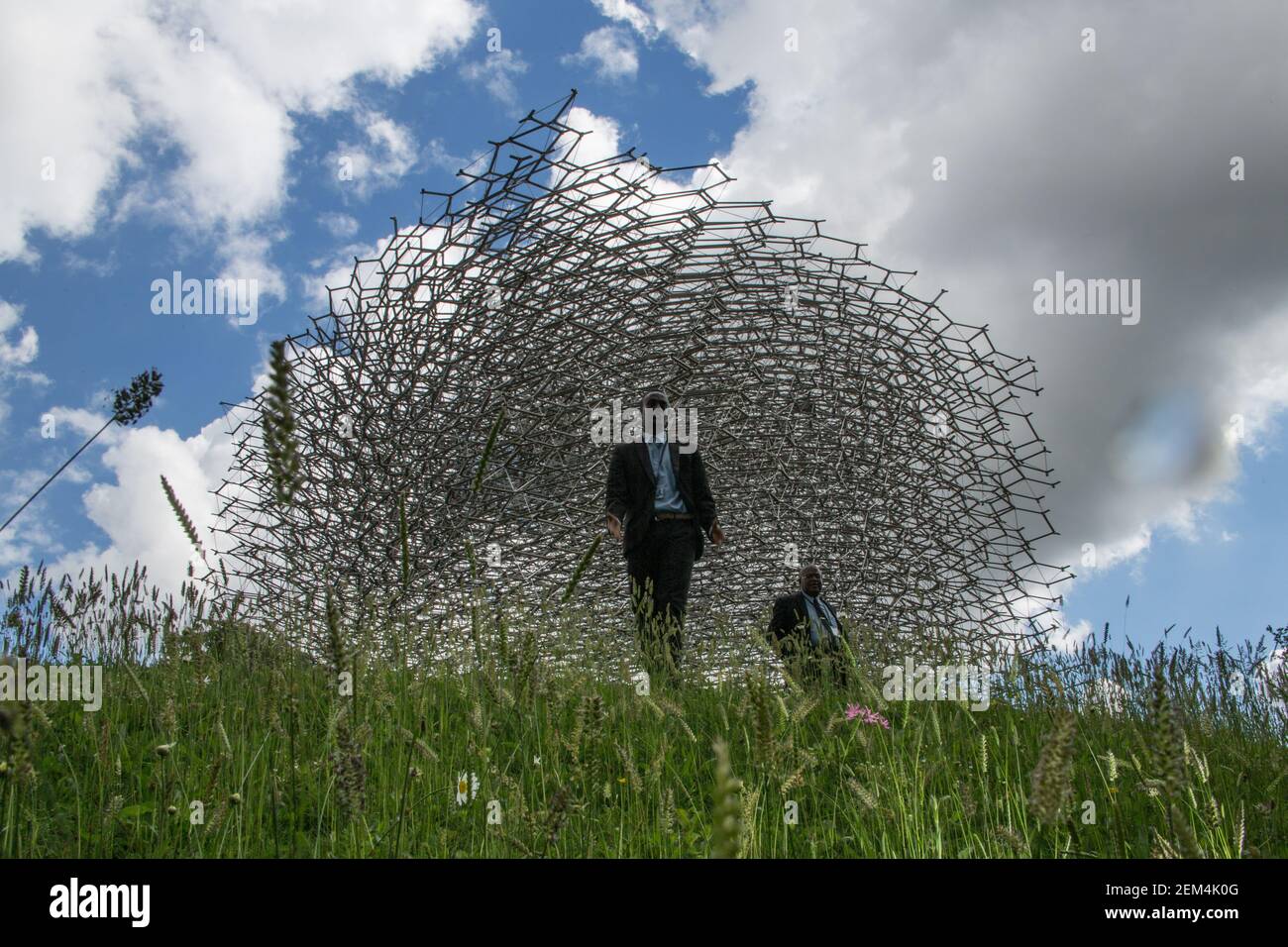 Il padiglione Hive viene presentato al Kew Gardens di Londra. Progettato da Wolfgang Buttress e creato da BDP, l'Hive è un premiato padiglione, il disegno Foto Stock