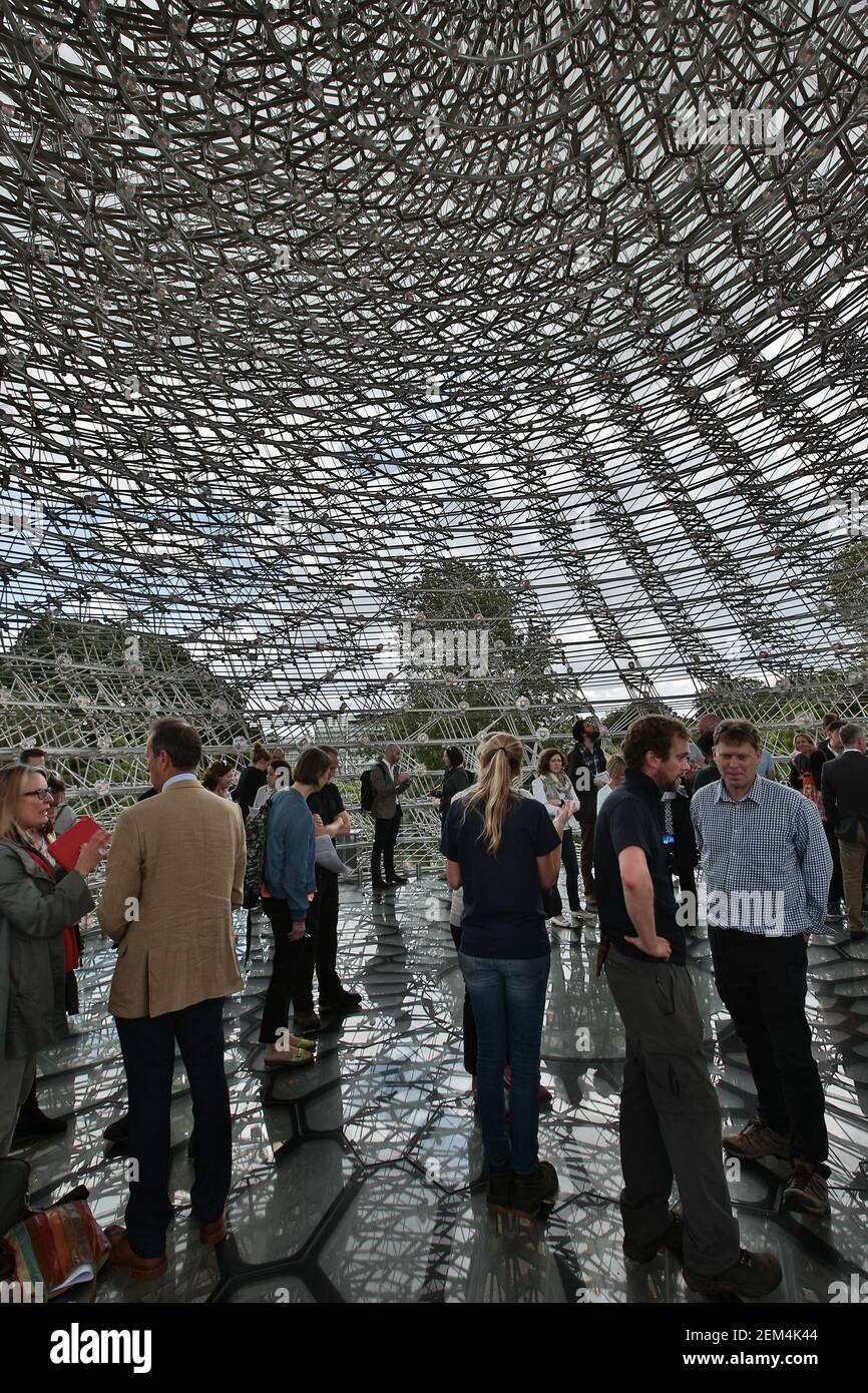 Il padiglione Hive viene presentato al Kew Gardens di Londra. Progettato da Wolfgang Buttress e creato da BDP, l'Hive è un premiato padiglione, il disegno Foto Stock
