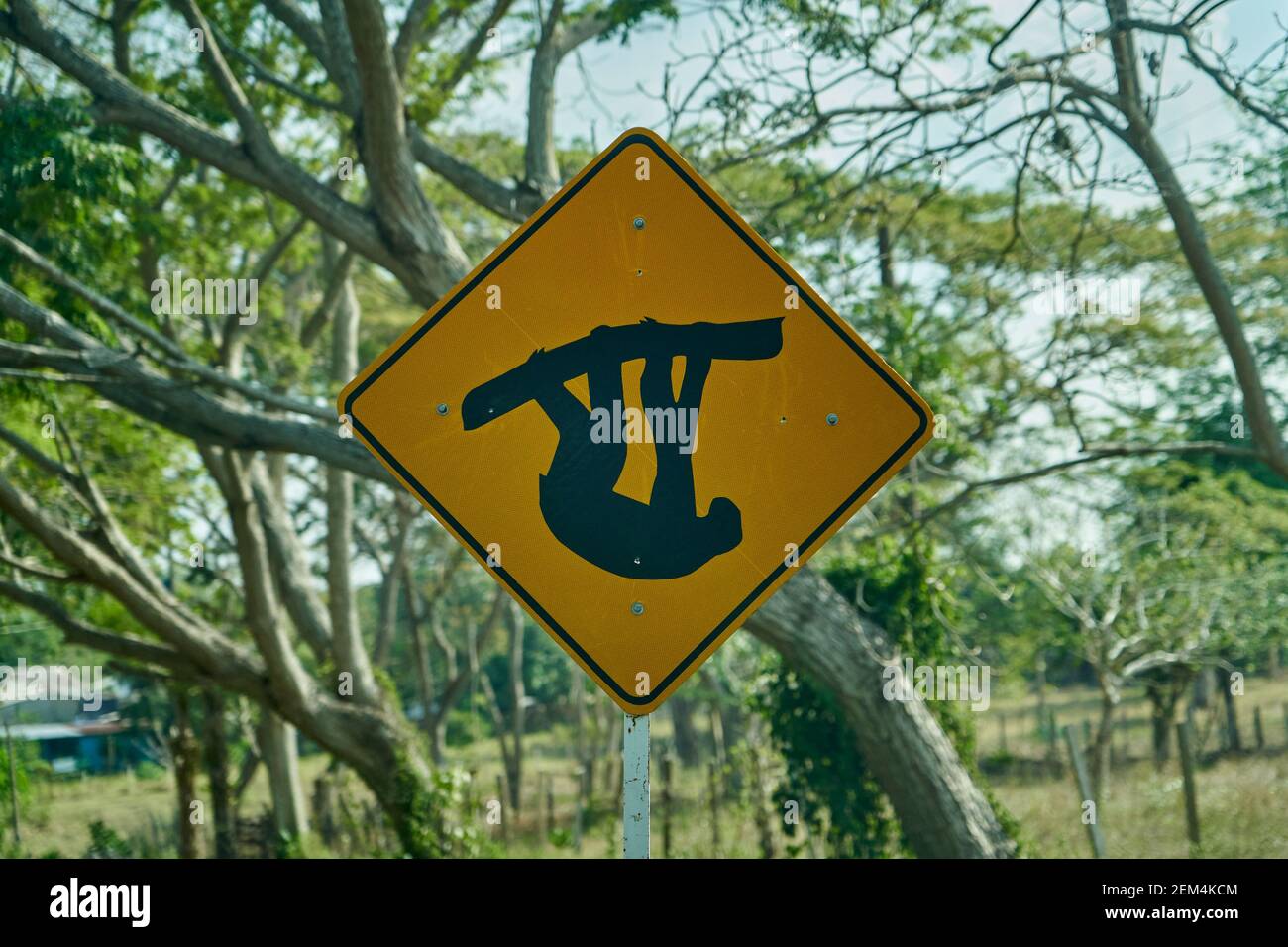 segnaletica stradale nera e gialla. indicazione stradale che mostra una pendenza Foto Stock