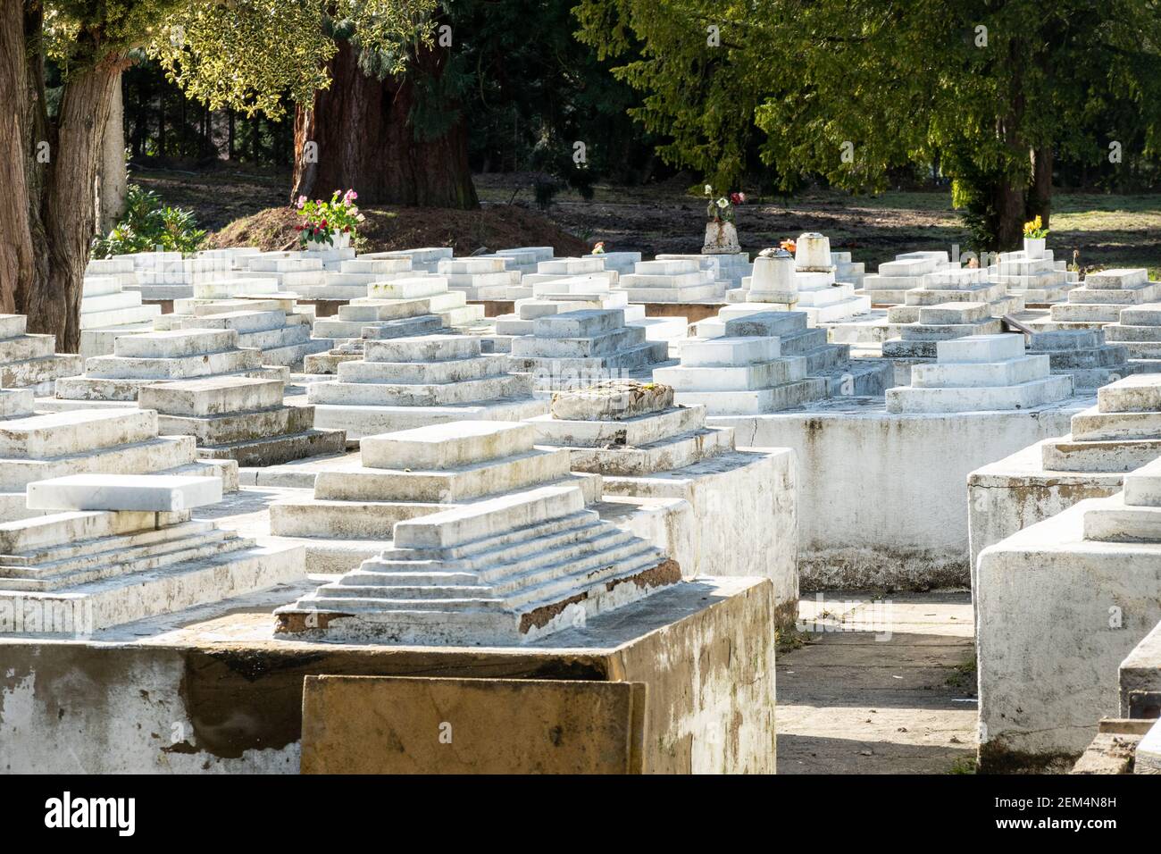 Il terreno di sepoltura di Dawoodhi Bohra al Brookwood Cemetery, uno dei lotti di minoranza etnica nel cimitero, Surrey, Inghilterra, Regno Unito Foto Stock