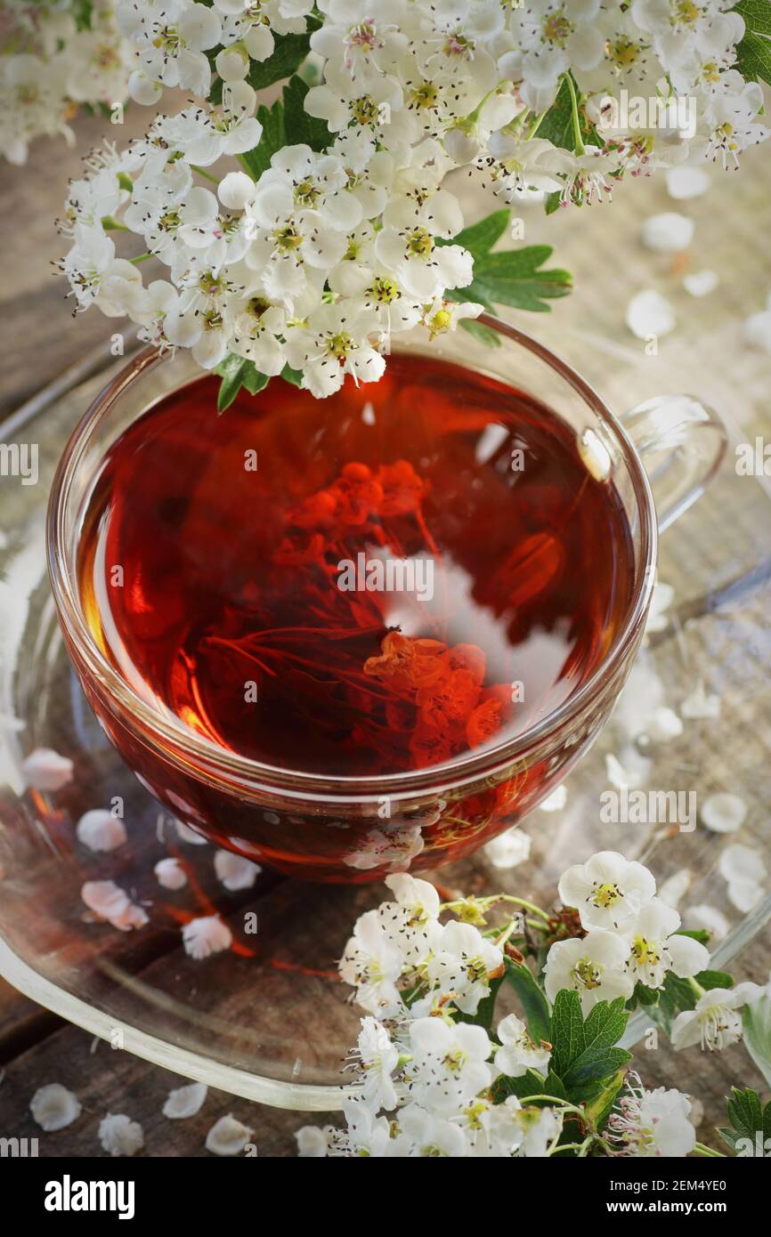 Tè floreale di primavera del biancospino con rami fioriti di primavera con boccioli di fiori su sfondo di legno, closeup, spazio di copia, verticale, tisane e naturali Foto Stock