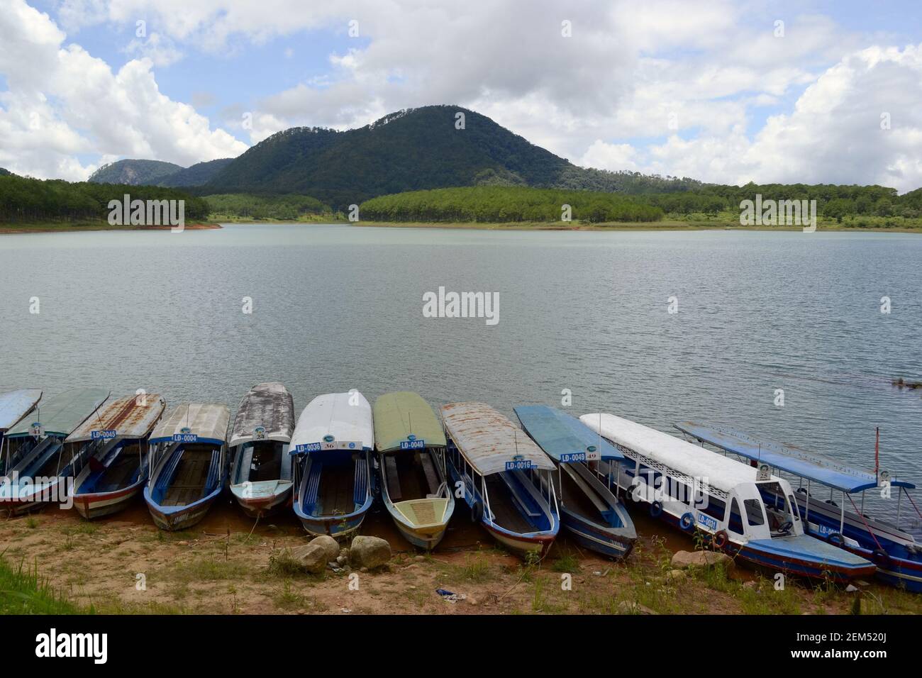 Gruppo di barche per turisti lungo il lago Tuyen Lam vicino Dalat e collina sullo sfondo, provincia di Lad Dong, Vietnam, agosto, 2015 Foto Stock