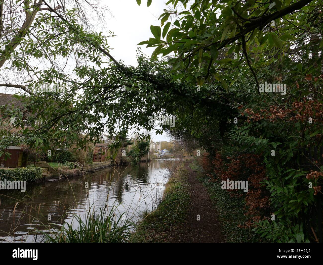 Il fiume è alimentato dal fiume Colne ad un weir a nord di Denham Lock. Corre parallelamente al Colne per circa 6 miglia prima di ricongiungerlo a sud di West Drayton. Nel 1641 il fiume Frays ha alimentato almeno cinque mulini. John Fray era Barone Lord Cancelliere dello scacchiere nel 1400. Aveva molta esperienza di fiumi e mulini intorno a Londra e aveva un interesse finanziario in Cowley Hall - una proprietà che confina con il fiume Frays. Ci è una varietà enorme di vita degli uccelli Swans, Ducks, Moorhens e varie altre specie di uccelli vivono dalle rive del fiume fianco a fianco con là vicini umani .... Foto Stock