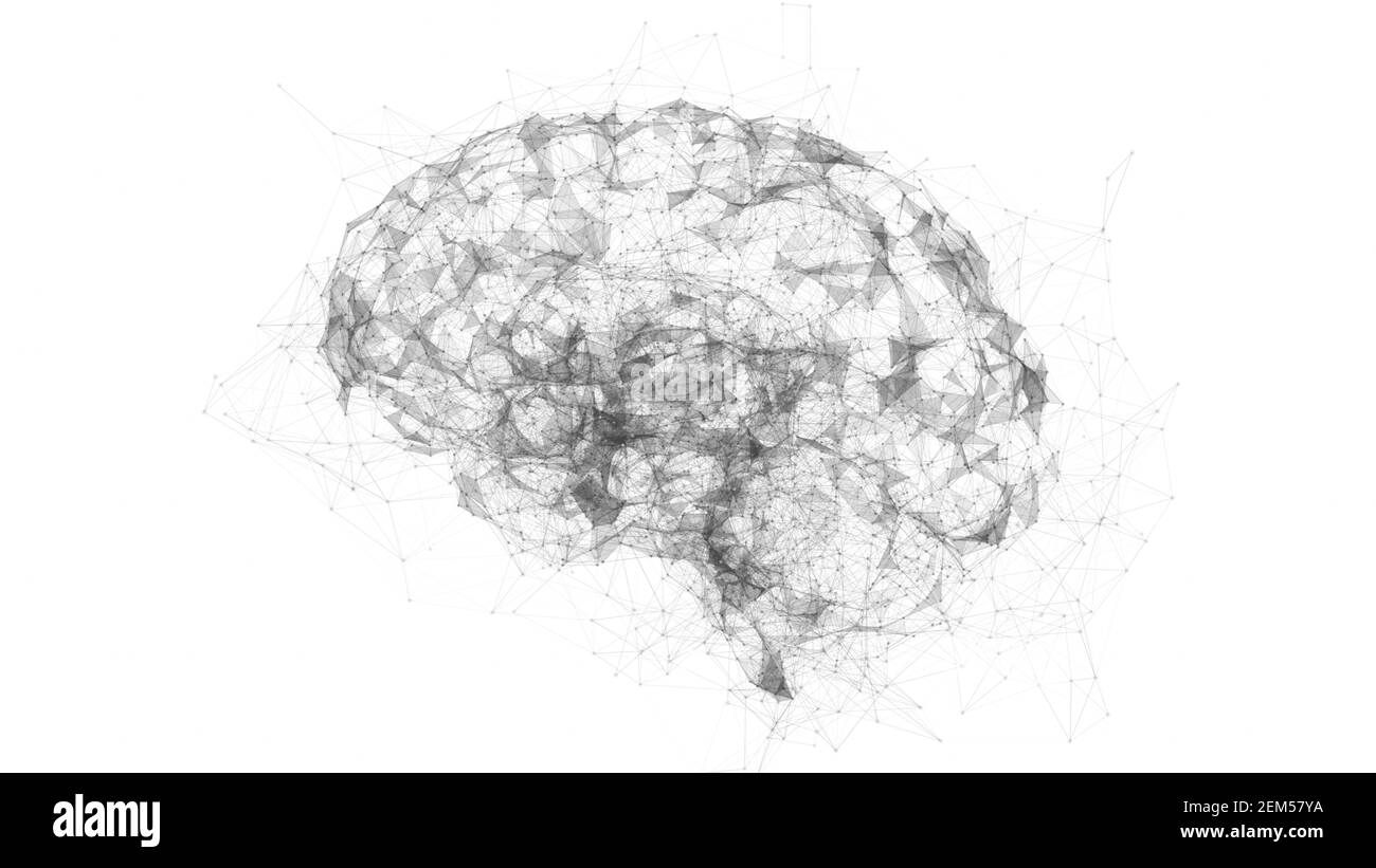 Dati digitali e connessione di rete del cervello umano isolati su sfondo bianco. Immagine concettuale dell'intelligenza artificiale Foto Stock
