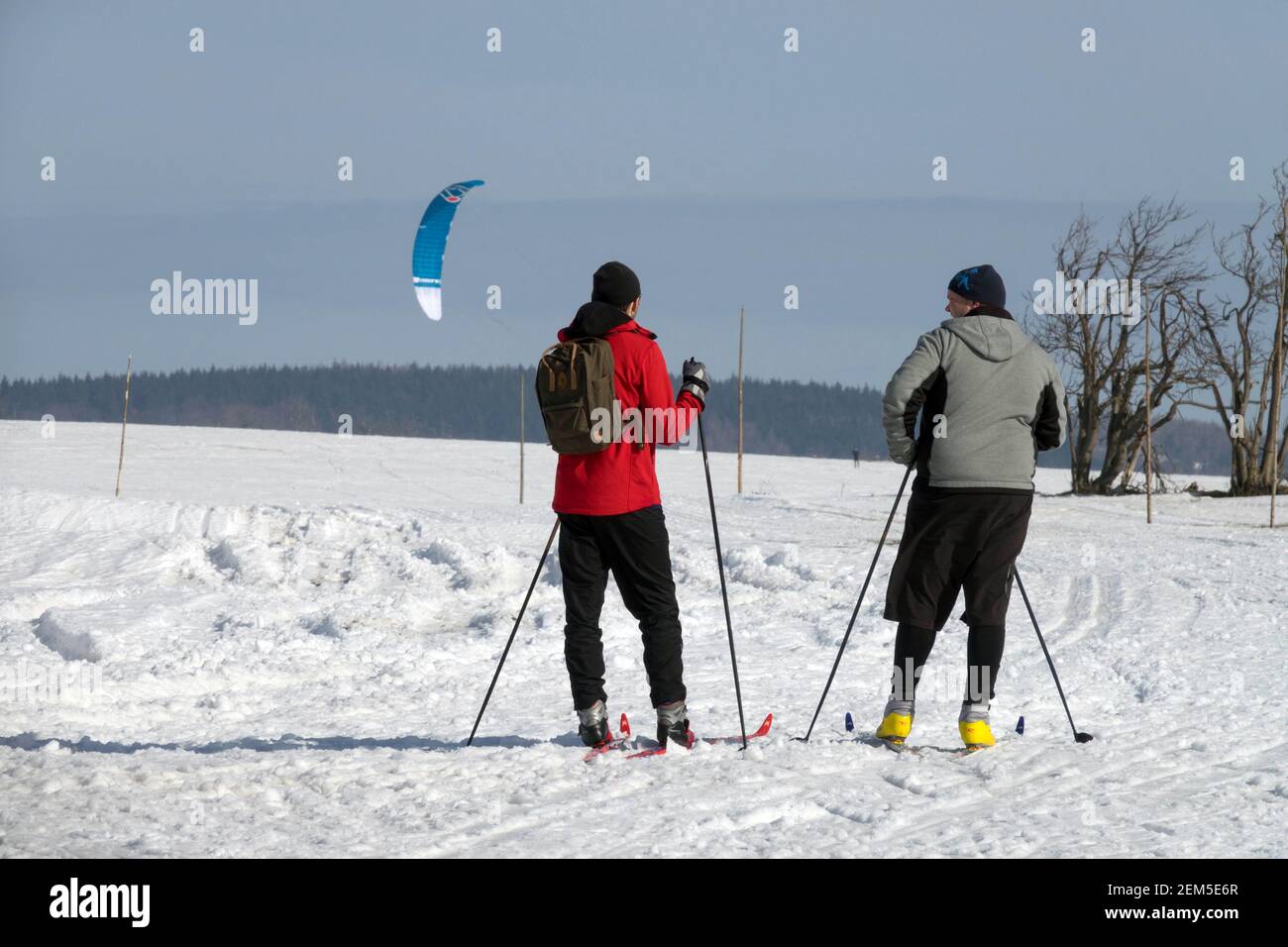 Stile di vita degli sport invernali, due sciatori maschili su pista da fondo in un paesaggio innevato Foto Stock