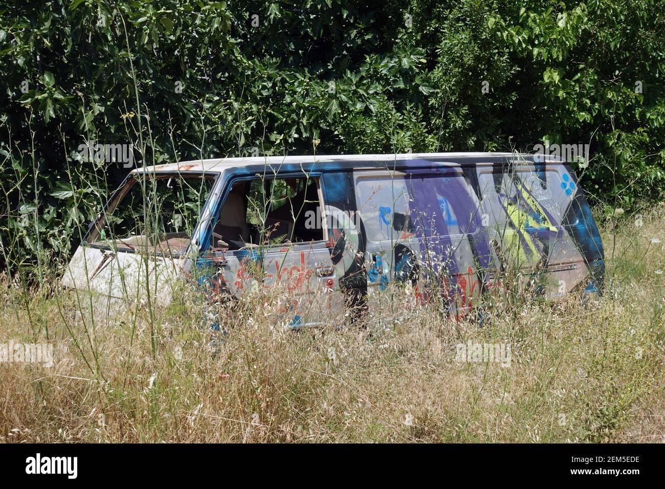 Vecchio veicolo coperto di graffiti abbandonati tra piante in eccesso. Foto Stock