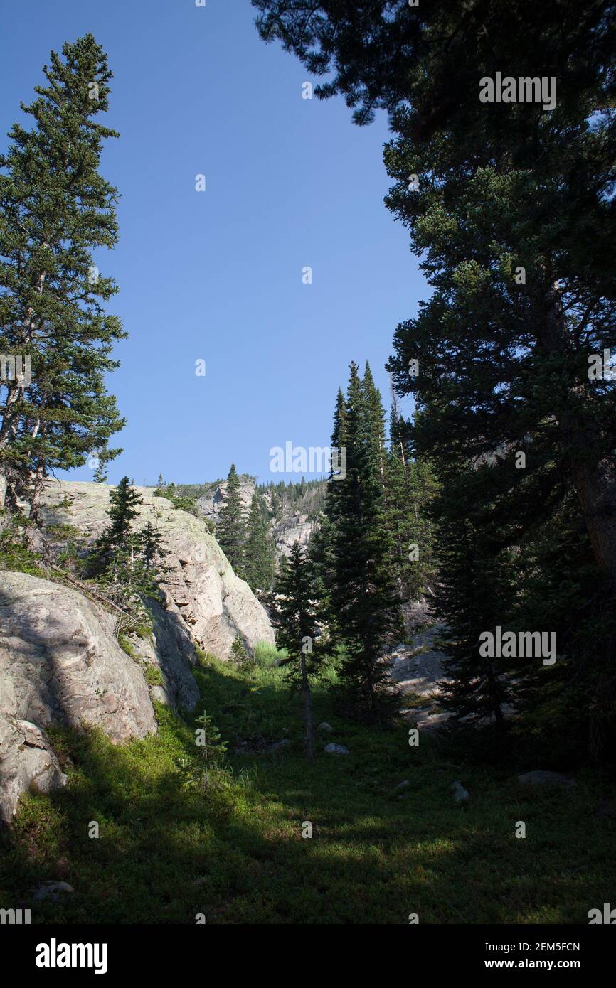 Splendido paesaggio al Rocky Mountain National Park in Colorado. Foto Stock