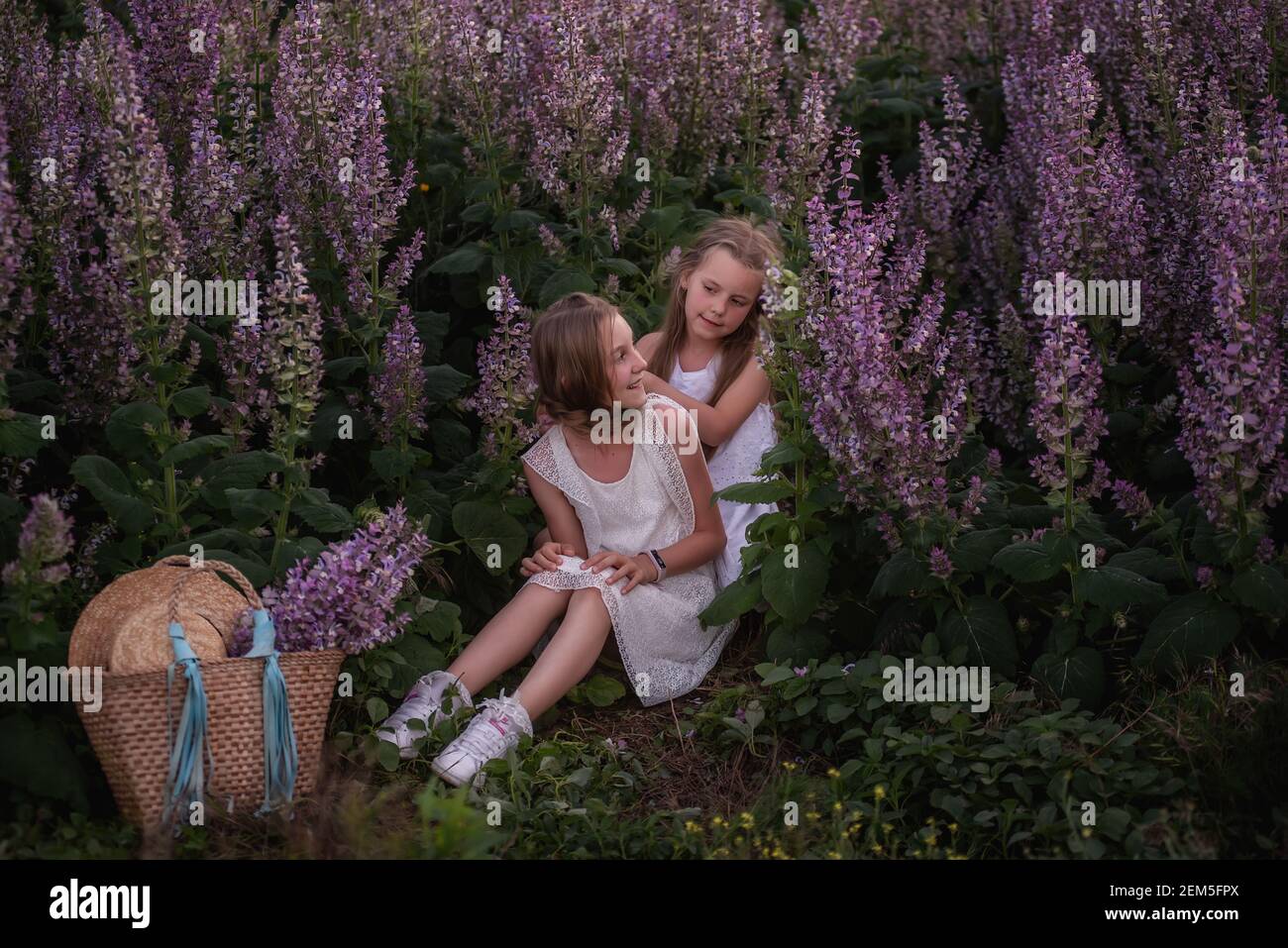 Due sorelle siedono su erba verde in un campo di salvia viola fiorente. Le bambine si abbracciano, tessere le trecce l'una dell'altra. Attività ricreative all'aperto fuori città. Stra Foto Stock