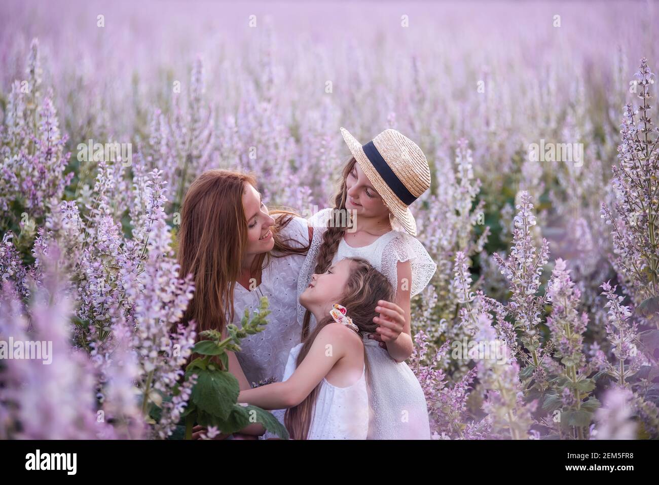 La giovane madre abbraccia due figlie nel campo di salvia in fiore viola. Le ragazze si abbracciano insieme, ridono, Buon divertimento. Vestito bianco con cappelli di paglia. In viaggio Foto Stock