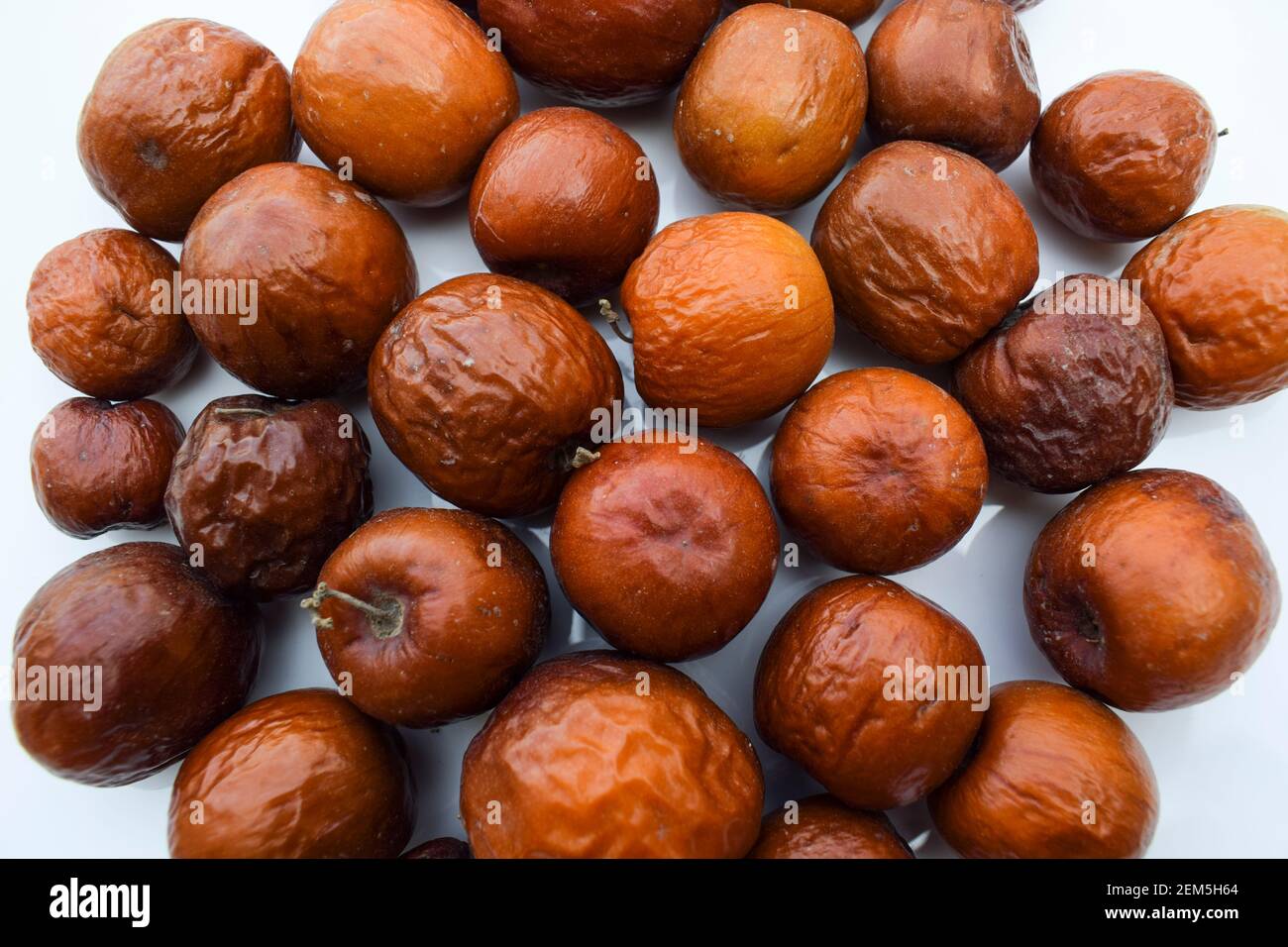 Frutto di jujube indiano, coltivato nella giungla o nella giungla in India, Pakistan, bangladesh Asiatico. Closeup di India frutta colore marrone marrone marrone marrone marrone arancio. Foto Stock