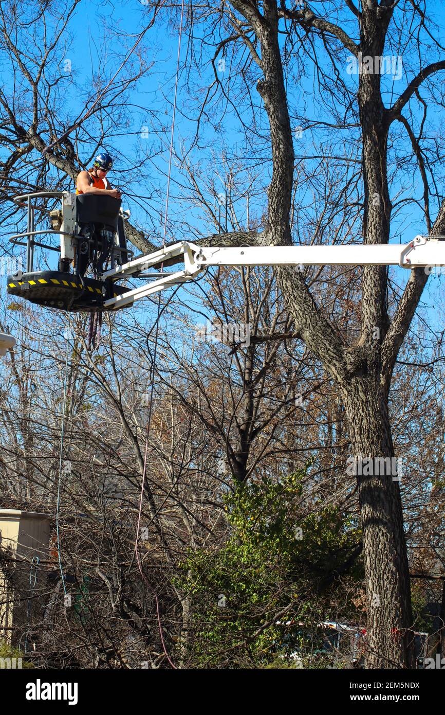 Operaio su gru che trona un albero che guarda giù a Tulsa Oklahoma USA 3 6 2018 Foto Stock