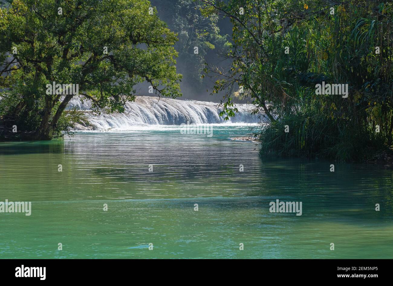 Agua Azul cascata con le sue acque turchesi blu nella foresta pluviale di Chiapas, Messico. Foto Stock