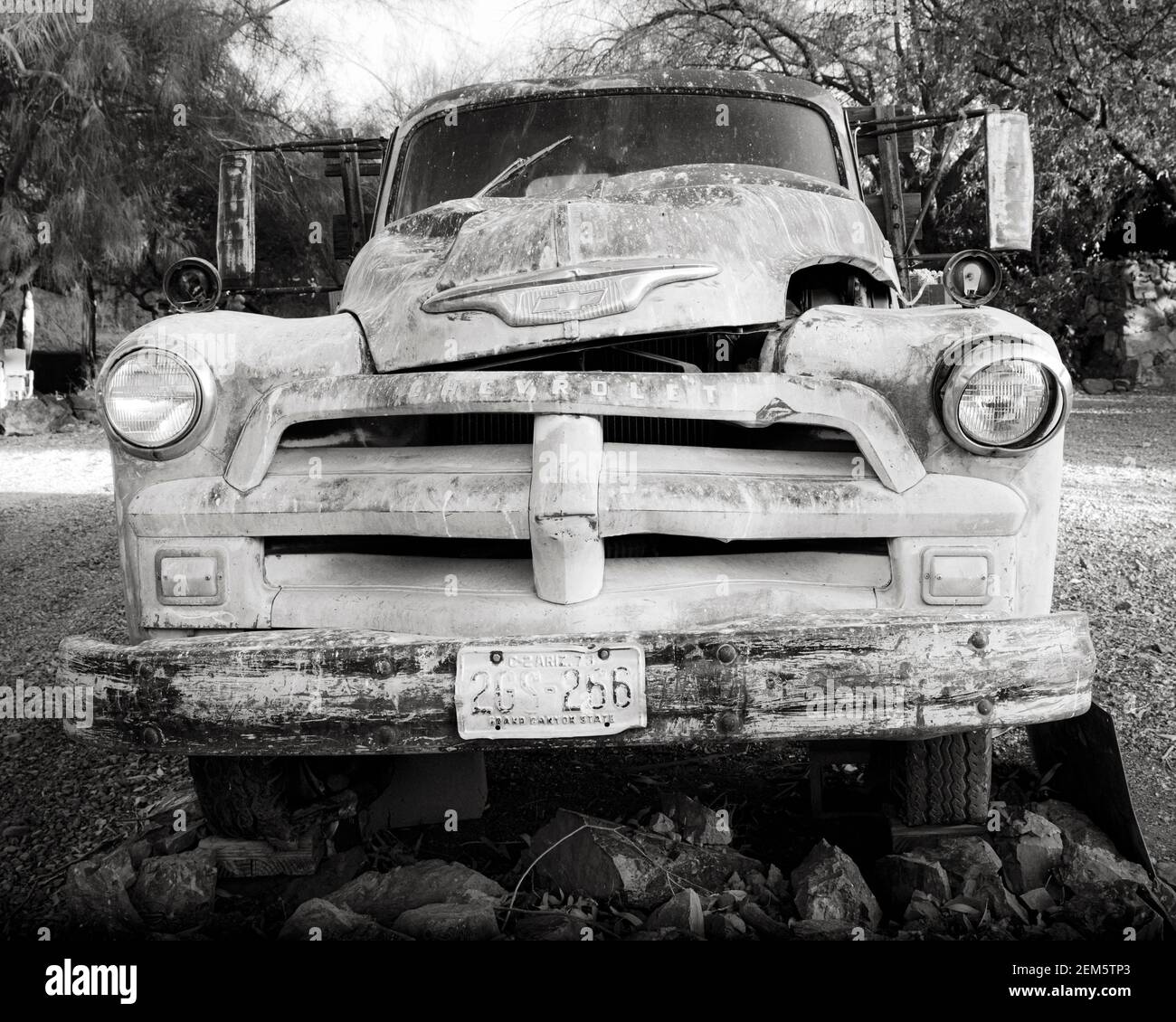 Old Chevrolet camion, fuori a pascolo, Arizona, Stati Uniti Foto Stock