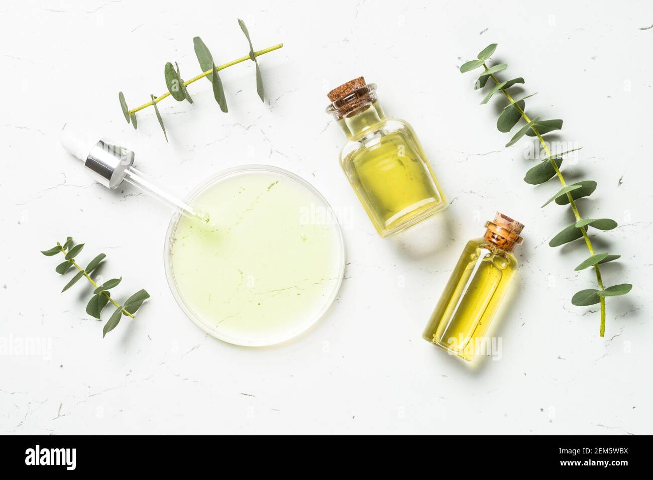 Eucalipto cosmetico, prodotto termale su sfondo bianco. Foto Stock