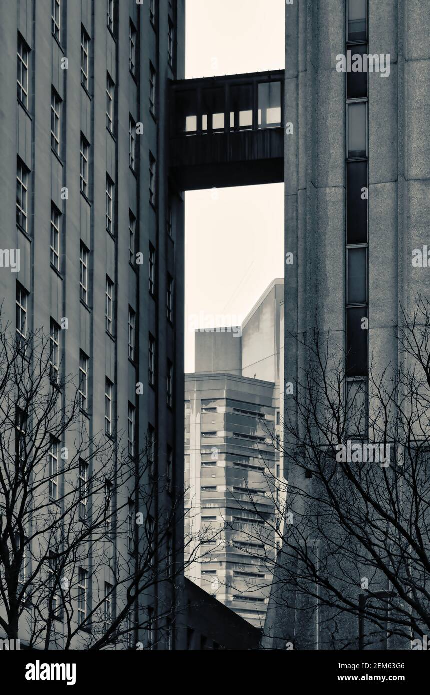 Una vista verticale astratta di una passerella urbana alta tra due grattacieli della città in bianco e nero. Foto Stock