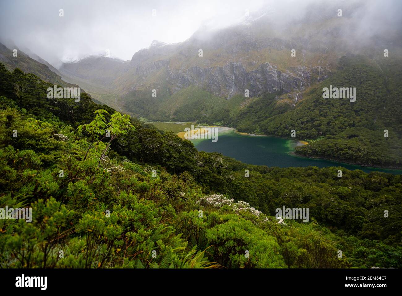 Lago Mackenzie, Routeburn Track, Nuova Zelanda Foto Stock